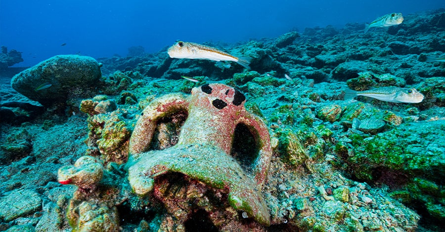 Treasure Hunting on The Treasure Coast Sea floor